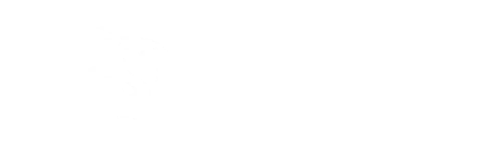 Logo Parceiro 2